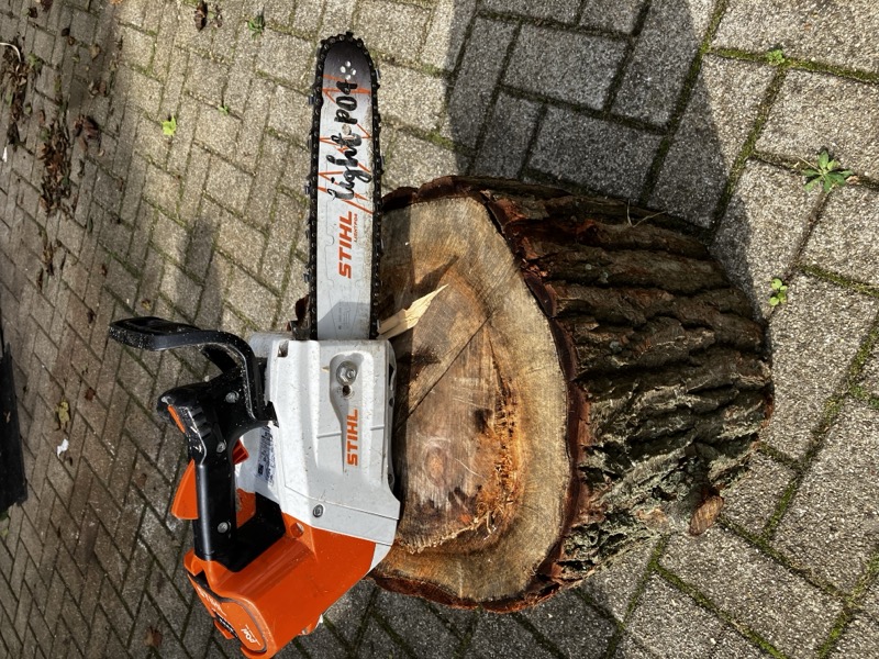 Elektrische zaag op boomstam - Milieuvriendelijke boomverzorging