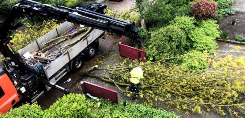 Verwerking van takken en boomresten na boomverzorging